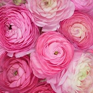 Meet your Posher, Stacy